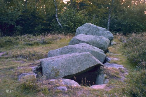 Necrópolis de Soderstorf F1 Amelinghausen Baja Sajonia Alemania