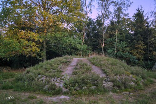 Necrópolis de Soderstorf F3 Amelinghausen Baja Sajonia Alemania