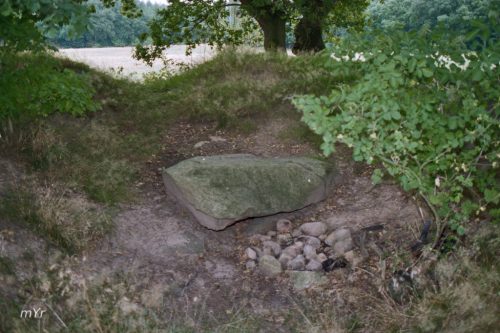 Dolmen Daudieck Steinkiste  Horneburg Hamburgo Baja Sajonia Alemania