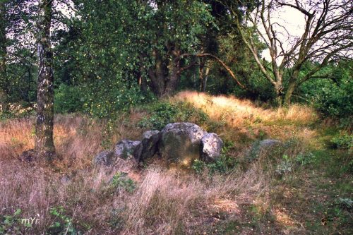 Dolmen de Bliedersdorf 4 Grundoldendorf Hamburgo Baja Sajonia Alemania