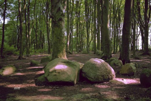 Dolmen de Bliedersdorf  1 Grundoldendorf Hamburgo Baja Sajonia Alemania