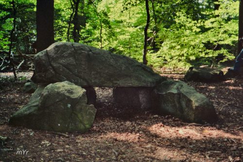 Dolmen de Bliedersdorf  2 Grundoldendorf Hamburgo