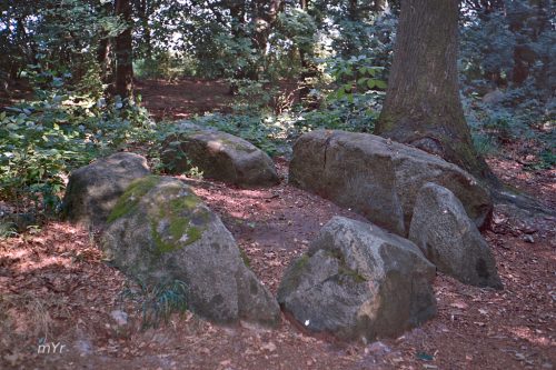 Dolmen de Bliedersdorf 3 Grundoldendorf Hamburgo