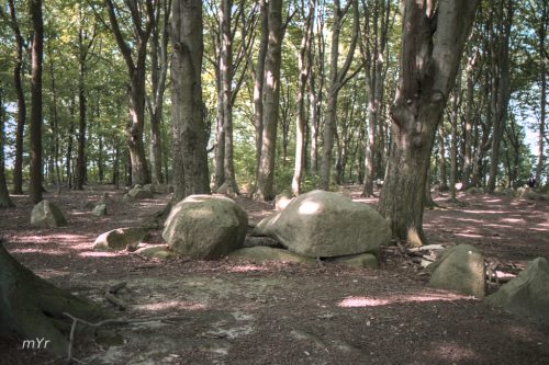 Dolmen de Bliedersdorf  4 Grundoldendorf Hamburgo