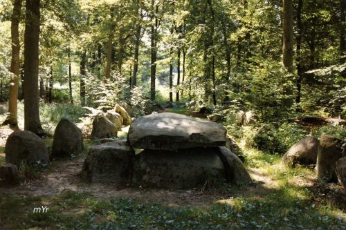 Dolmen-de-Klecker F1  Rosengarten-Hamburgo Baja Sajonia Alemania