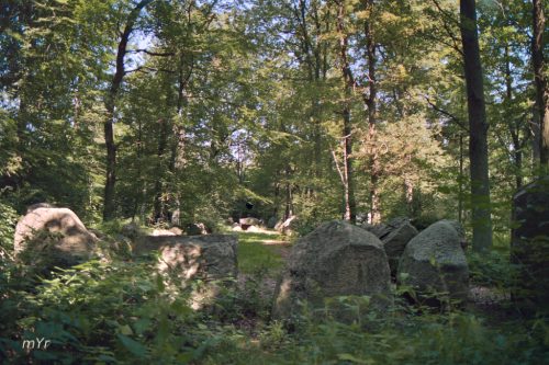 Dolmen-de-Klecker F2  Rosengarten-Hamburgo Baja Sajonia Alemania