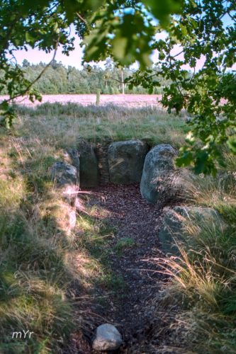 Dolmen  2 Necropolis de Oldendorfer Totenstatt Luhe Lüneburg Baja Sajonia Alemania 