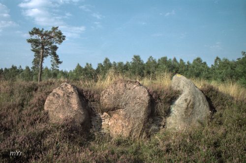 Necropolis de Oldendorfer Totenstatt  F1 Luhe Lüneburg Baja Sajonia Alemania