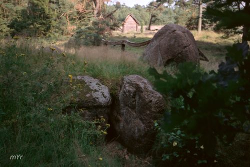 Necropolis de Oldendorfer Totenstatt  F2 Luhe Lüneburg Baja Sajonia Alemania