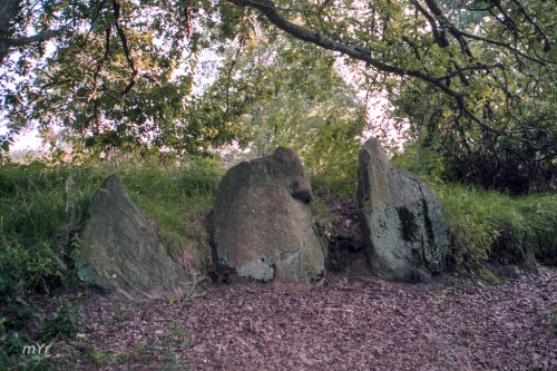 Necropolis de Oldendorfer Totenstatt  F3 Luhe Lüneburg Baja Sajonia Alemania