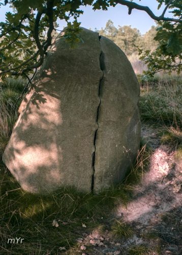 Necropolis de Oldendorfer Totenstatt  F4 Luhe Lüneburg Baja Sajonia Alemania