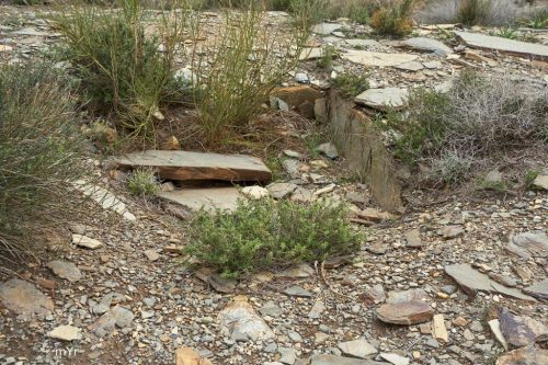 Necropolis calcolítica de Los Milanes foto  4 Abla Almeria Andalucía
