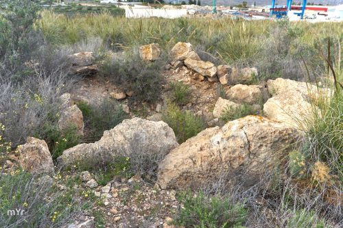 Necropolis de Huéchar Alhama F2 Huéchar Almeria Andalucía