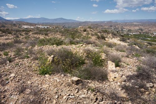 Necropolis de Los Mudos foto 7 F2 Gádor  Almeria Andalucía