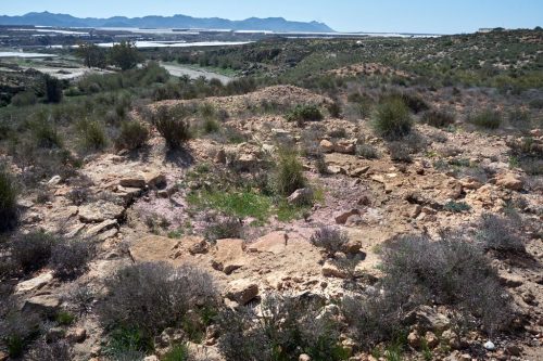 Necropolis megalítica El Barranquete foto 2-1 Nijar Almeria