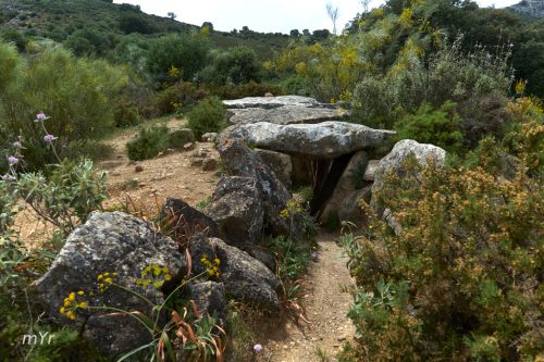 Dolmen El Gigante F1  El Gastor Cadiz Andalucía