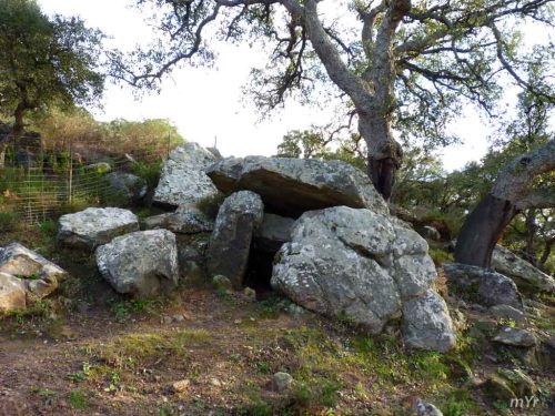 Dolmen de la Mesta o la Casita  Facinas Cadiz Andalucía