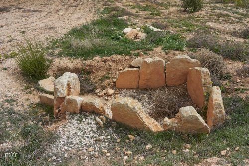 Dolmen   17 F2 Necropolis de Panoria Darro Granada