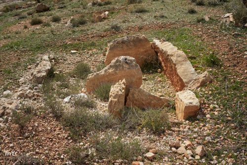 Dolmen 7 F2 Necropolis de Panoria Darro Granada