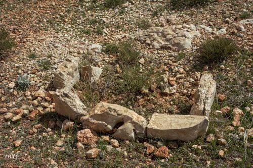 Dolmen 8 F2 Necropolis de Panoria Darro Granada