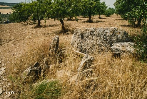 Dolmen Cortijo Bartolo 28 Alhama de  Granda Andalucía
