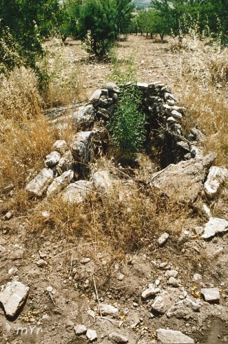 Dolmen Cortijo Bartolo 29 Alhama de  Granda Andalucía