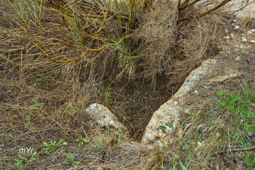 Dolmen Cortijo de Olivares F2 Pedro Marrtinez Granada Andalucía