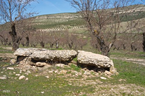 Dolmen cortijo del cura F1 Arenas del Rey Granada Andalucía