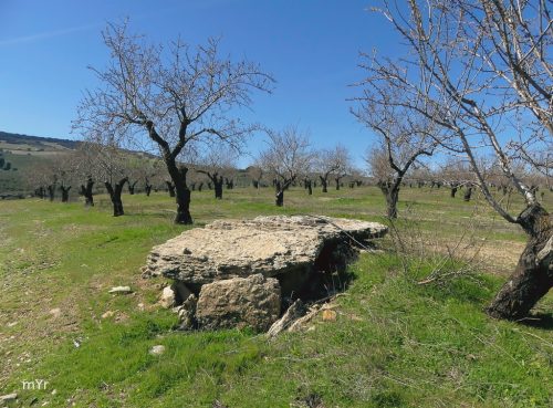 Dolmen cortijo del cura F2 Arenas del Rey Granada Andalucía