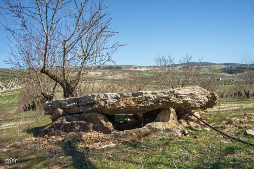 Dolmen cortijo del cura F4 Arenas del Rey Granada Andalucía