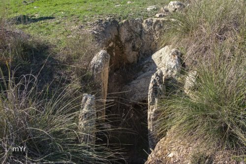 Dolmen de Cortijo Liñan F1 Arenas del Rey Granada Andalucía