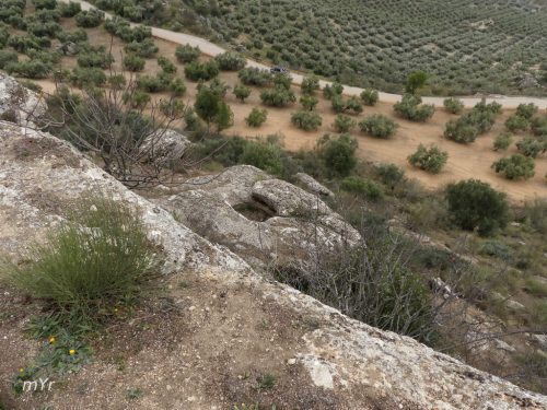 Necropolis Sierra Martilla Dolmen D5 Ventorros de San José Loja Granada Andalucía