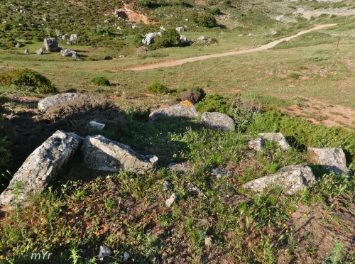 Dolmen Puerto del viento F1 Ronda Malaga.