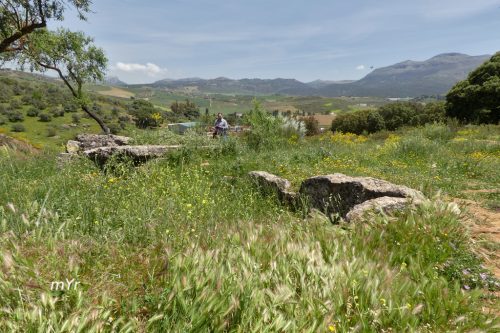 Dolmen de La Planilla F1 Ronda Malaga Andalucía
