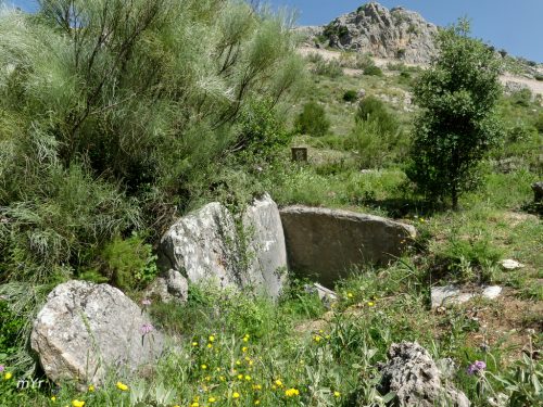Dolmen de Montero F1 Alpandeire Malaga Andalucía