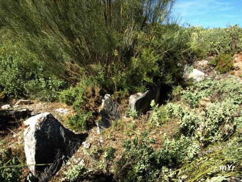 Dolmen del Cortijo de la Mimbre F1 Alpandeire  Malaga