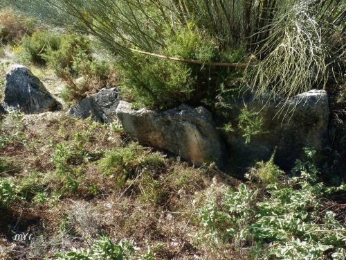 Dolmen del Cortijo de la Mimbre F2 Alpandeire  Malaga
