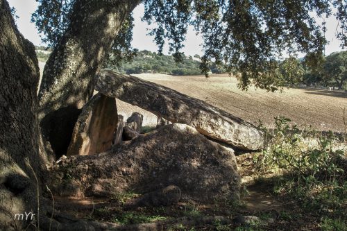 Dolmen del Gigante F2 Ronda Malaga Andalucía