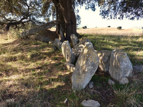 Dolmen del Gigante F1 Ronda Malaga Andalucía