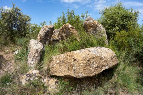 Dolmen de Aras F2 Sos del rey Catolico Zaragoza Aragón
