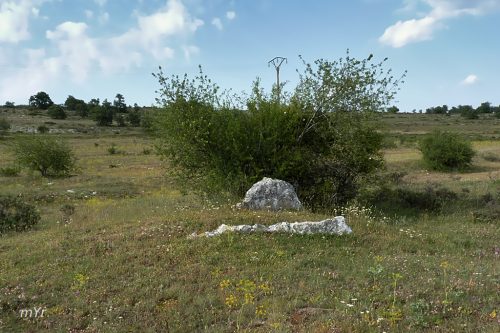 Cista-La Nava Alta Villaescusa del Butrón Burgos Castilla y León