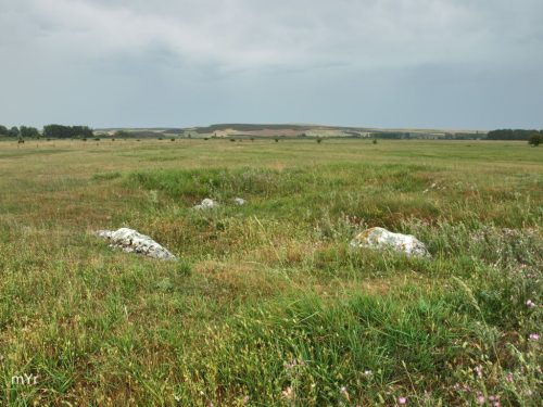 Dolme de Atapuerca II F2 -Burgos Castilla y León