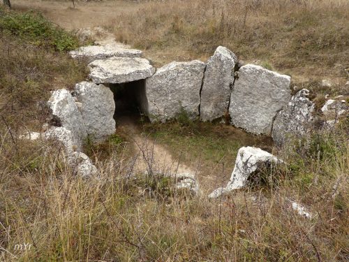 Dolmen El Moreco F2  Huidobro Burgos Castilla y León