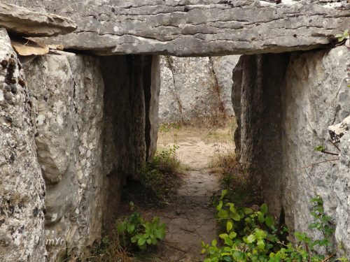 Dolmen El Moreco F1 Huidobro Burgos Castilla y León