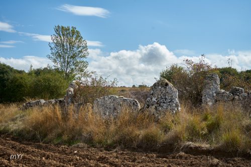 Dolmen-Ruyales-del-Páramo 1 Huérmeces-Burgos Castilla y León