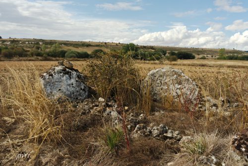Dolmen-Ruyales-del-Páramo 2 Huérmeces-Burgos Castilla y León