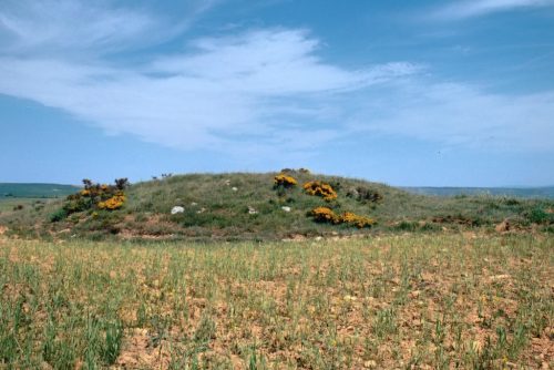 Dolmen-San-Quirce F1-Tubilla-del-Agua-Burgos Castilla y León