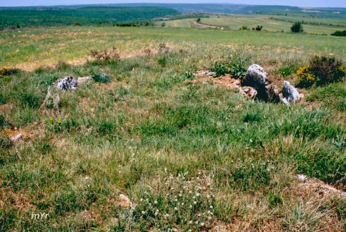 Dolmen-San-Quirce F2-Tubilla-del-Agua-Burgos Castilla y León