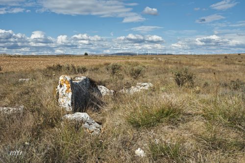 Dolmen de El Corral de las Hormazas F1 Las Hormazas Burgos Castilla y León