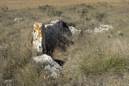 Dolmen de El Corral de las Hormazas F2 Las Hormazas Burgos Castilla y León